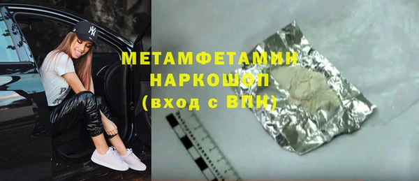 хмурый Пересвет