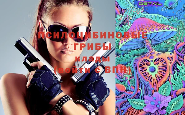 гашик Армянск