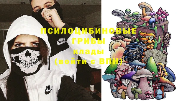 твердый Алексеевка
