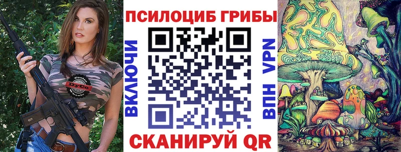 Галлюциногенные грибы Psilocybe  hydra онион  Пласт 